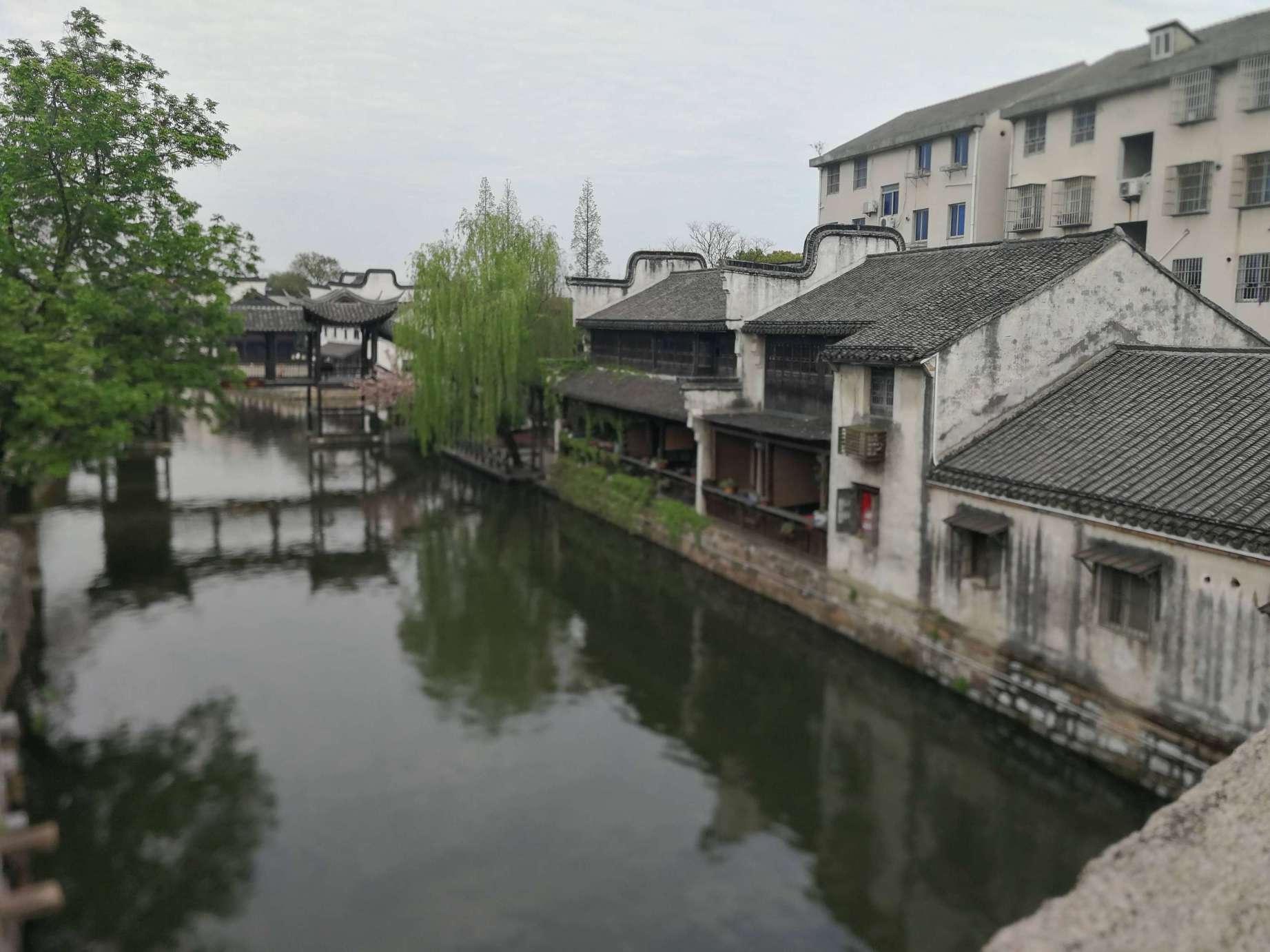 俄罗斯小怪